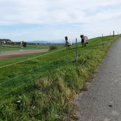 058 Es geht wieder bergauf